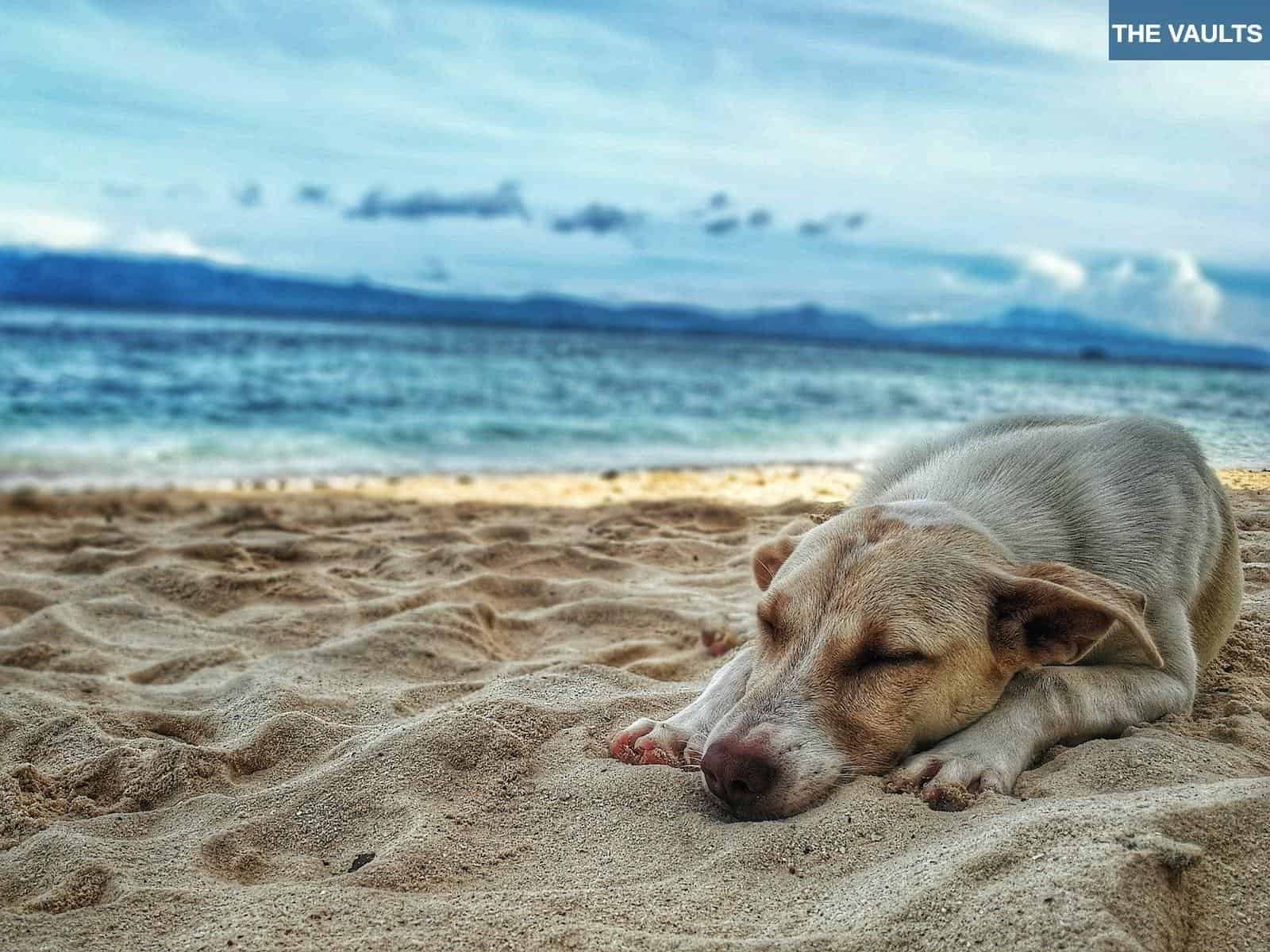 metodos efectivos vida mas tranquila