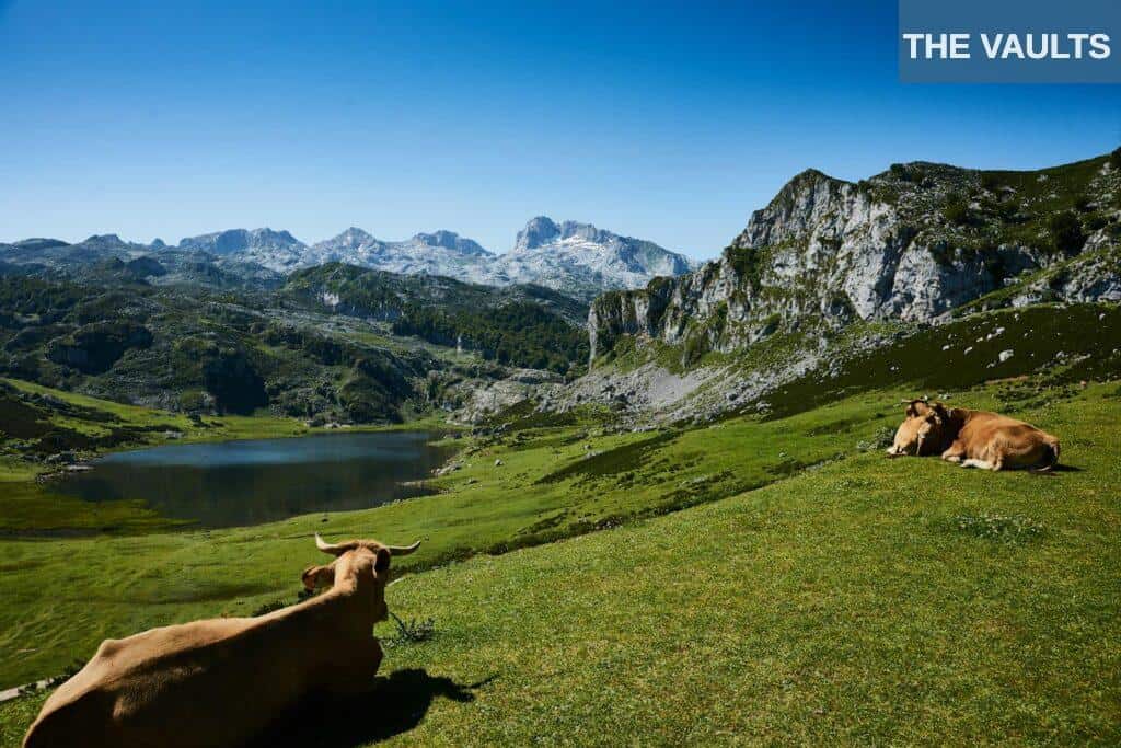 Picos de Europa